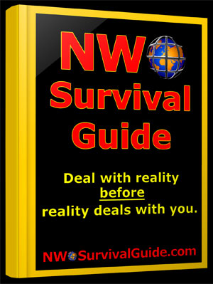 NWO Survival Guide PDF
