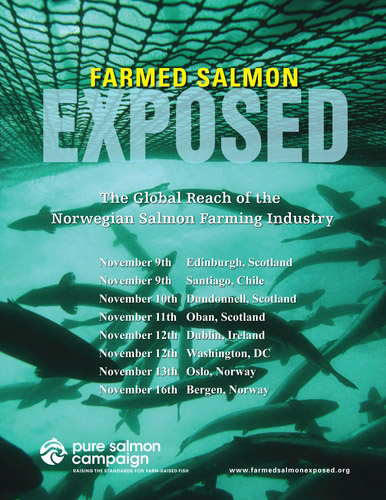 Farmed Salmon Exposed